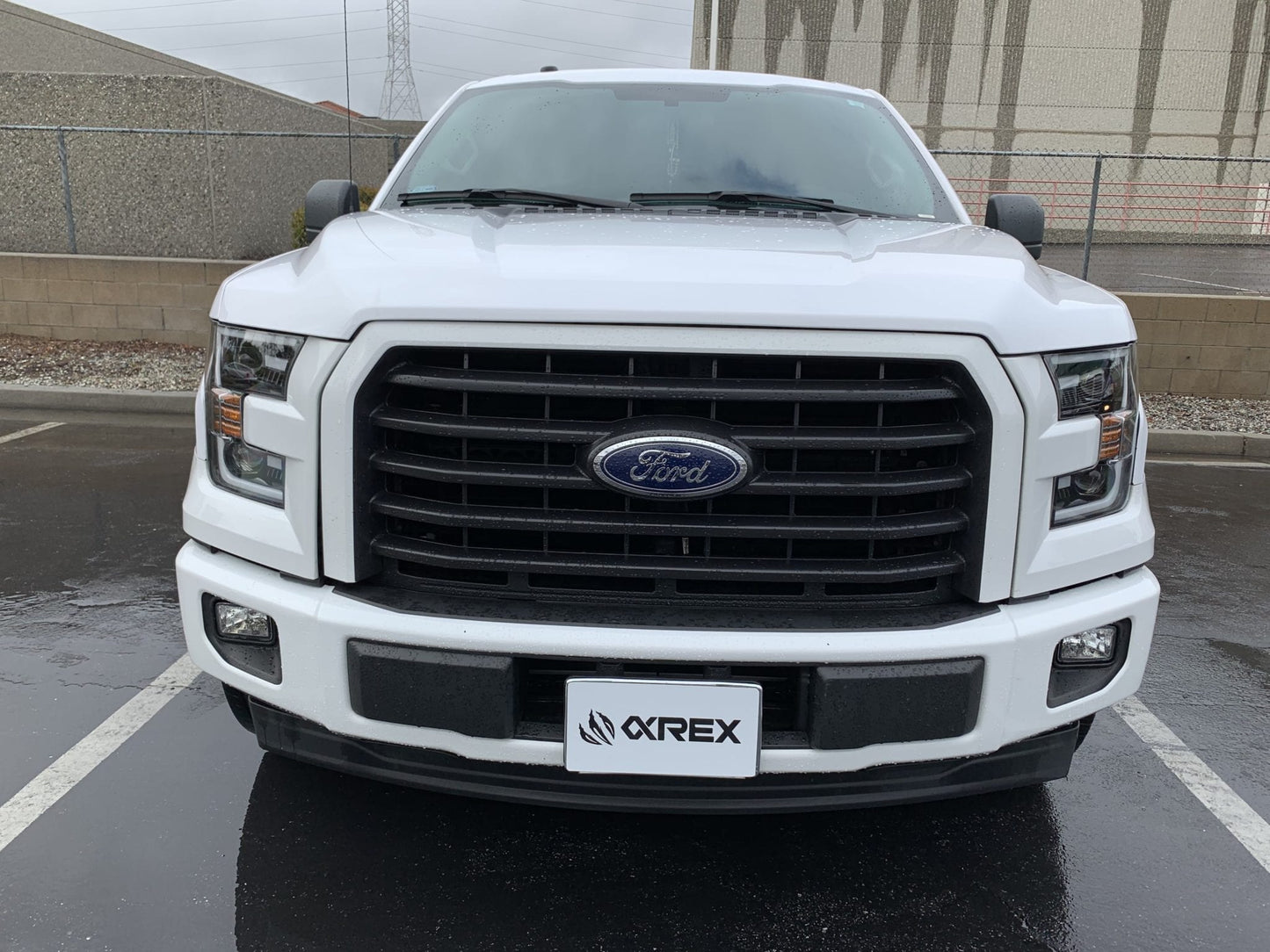 AlphaRex 15-17 Ford F150 PRO-Series Halogen Projector Headlights Jet Black