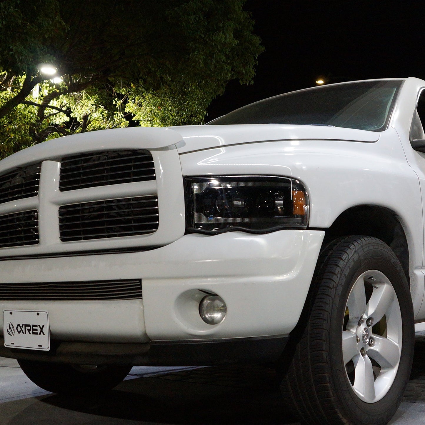 AlphaRex 02-05 Dodge Ram PRO-Series Halogen Projector Headlights Black