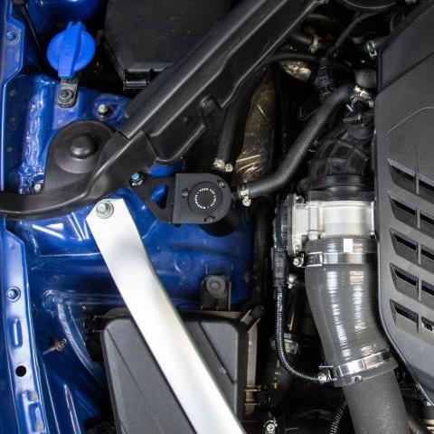 Mishimoto Catch Can Kit - PCV Side | 2018-2021 Kia Stinger GT (MMBCC-STNGR-18PBE)