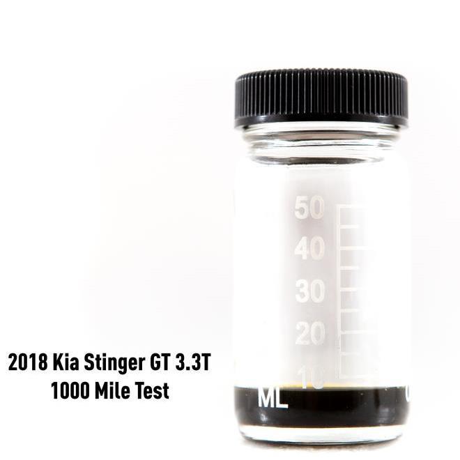 Mishimoto Catch Can Kit - PCV Side | 2018-2021 Kia Stinger GT (MMBCC-STNGR-18PBE)