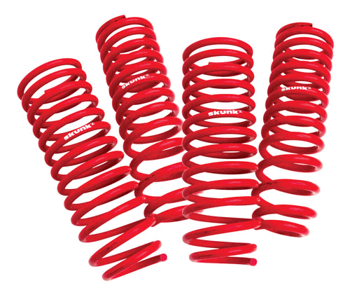 Skunk2 Lowering Springs Acura RSX 2002-04 (all models)