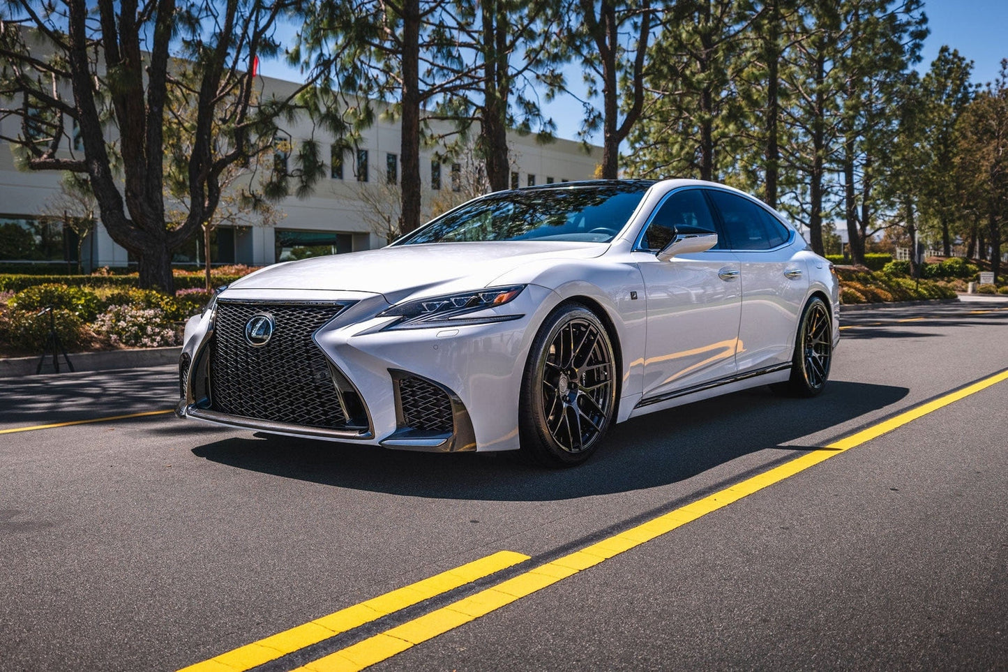 Swift Springs Sport Lowering Springs for 2018+ Lexus LS500 (XF50)
