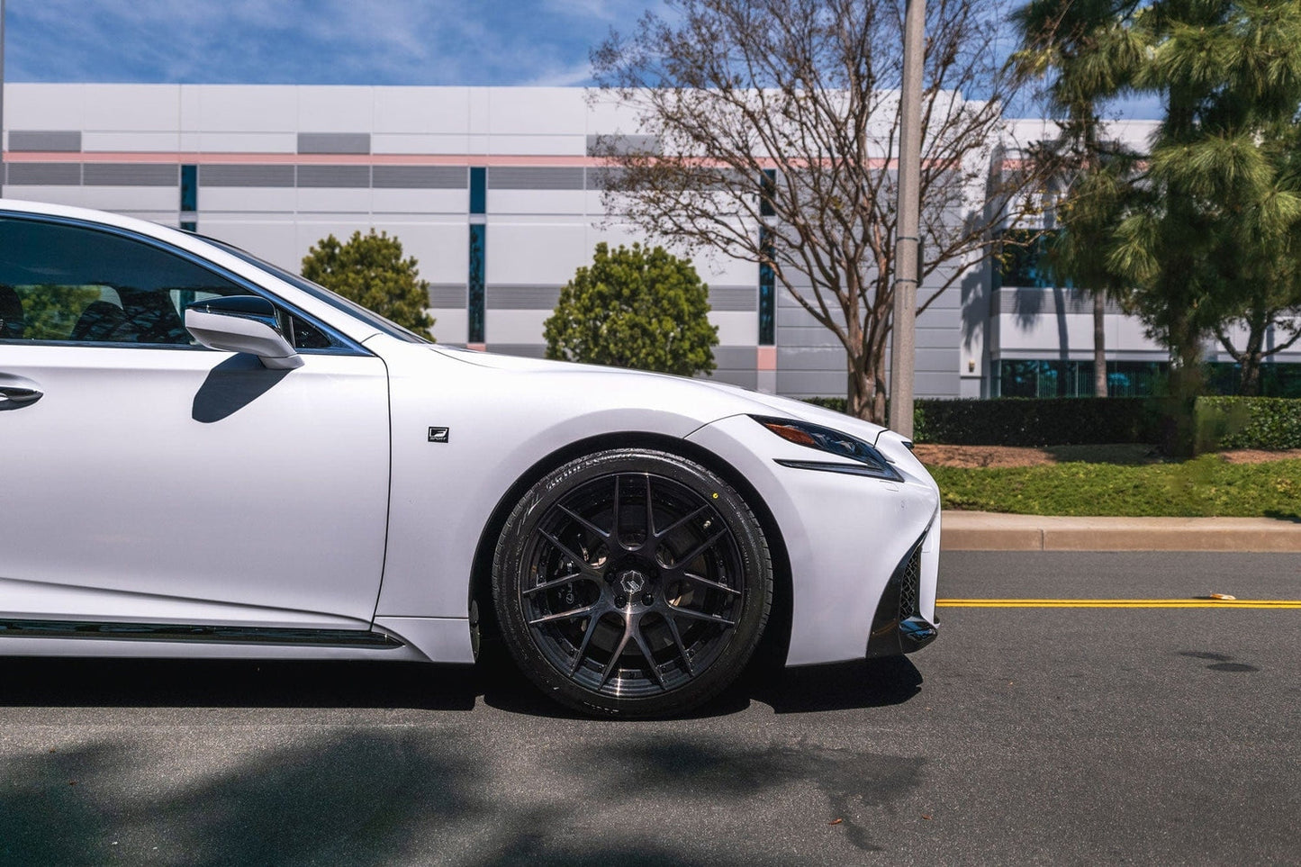 Swift Springs Sport Lowering Springs for 2018+ Lexus LS500 (XF50)