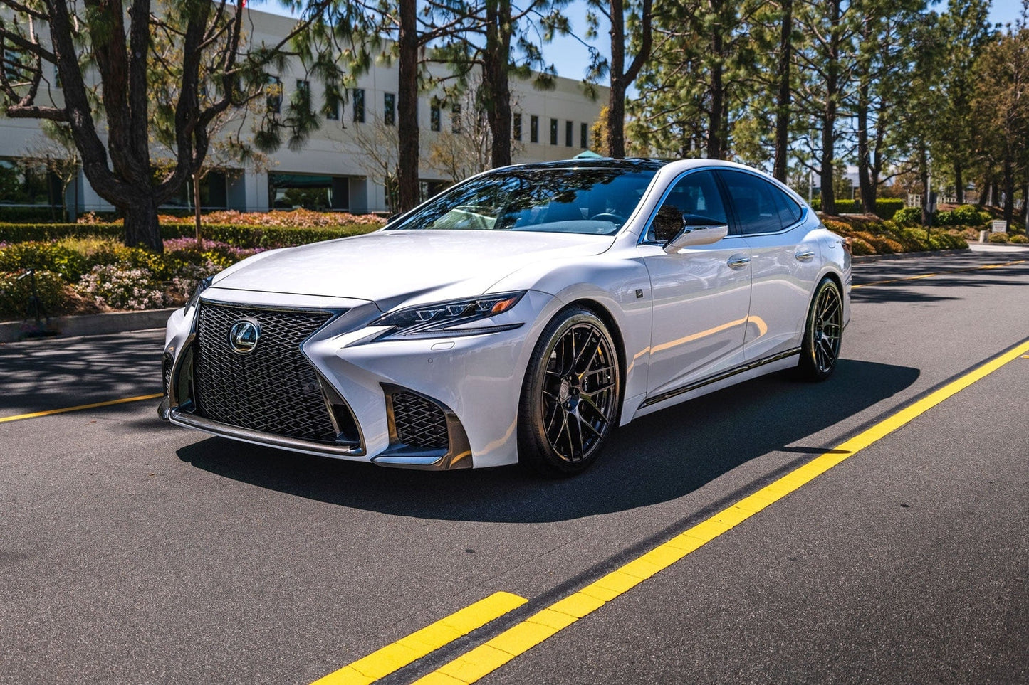 Swift Springs Sport Lowering Springs for 2018+ Lexus LS500 (XF50)