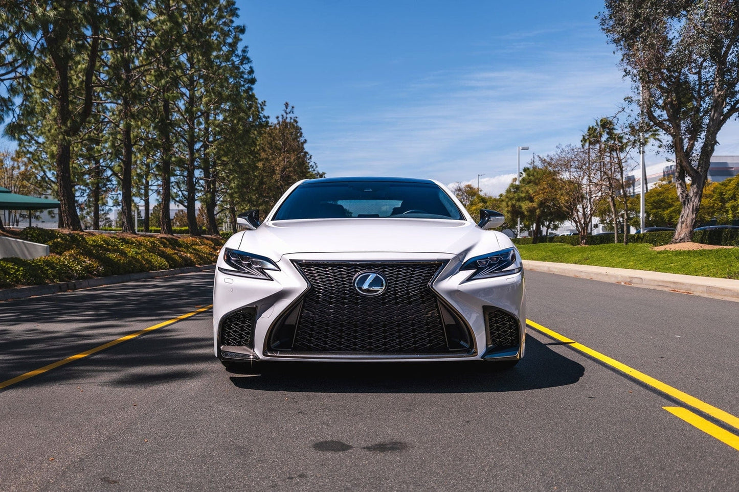 Swift Springs Sport Lowering Springs for 2018+ Lexus LS500 (XF50)