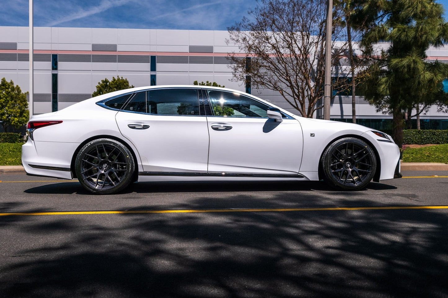 Swift Springs Sport Lowering Springs for 2018+ Lexus LS500 (XF50)
