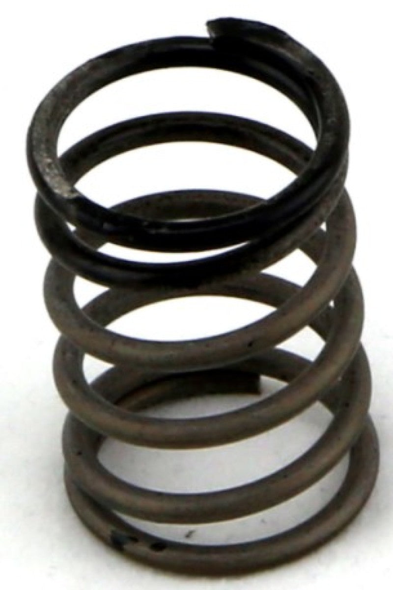 Turbosmart Gen-V WG38/40 3psi Black Inner Spring | Universal (TS-0550-3081)