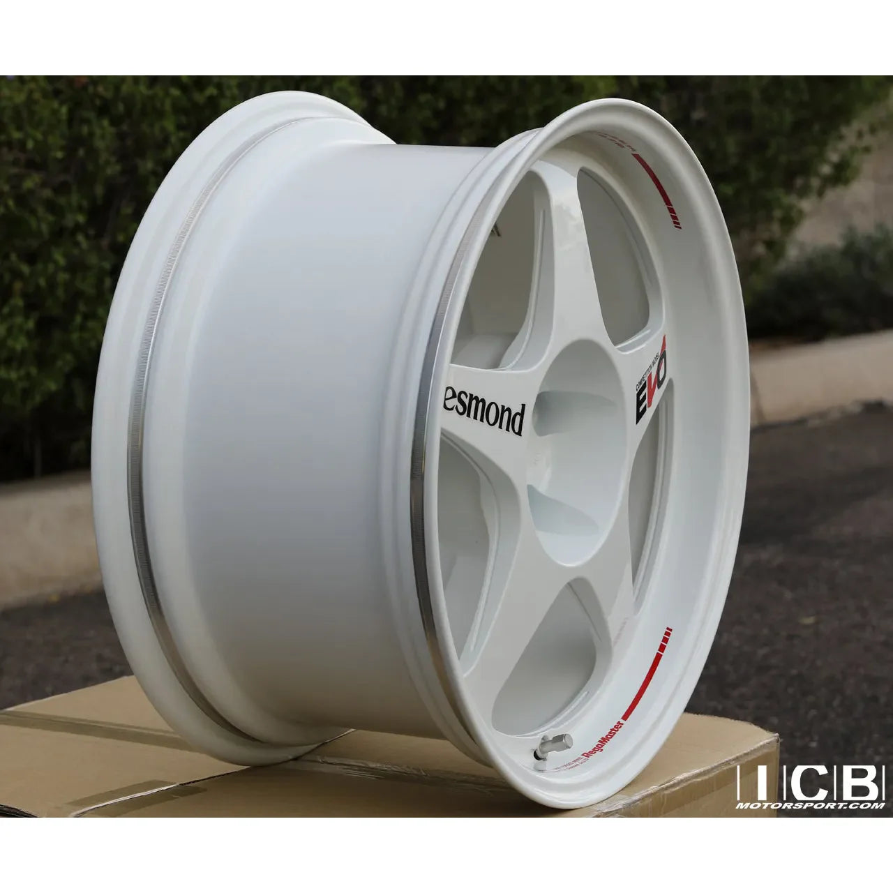 Desmond Regamaster EVO II 17x9.5 +12 5x114.3 Gloss White (SET)