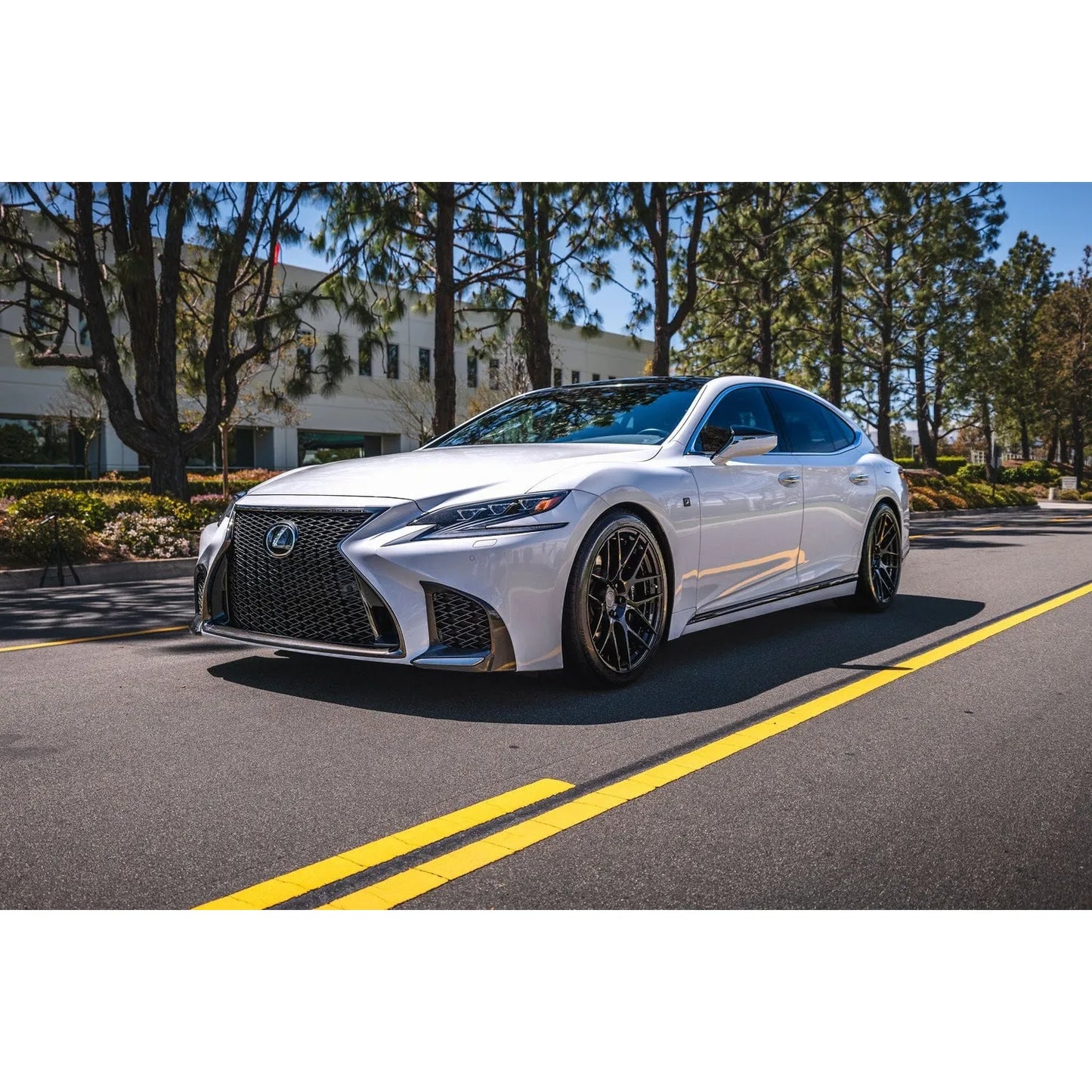 Swift Springs Sport Lowering Springs for 2018+ Lexus LS500 (XF50)