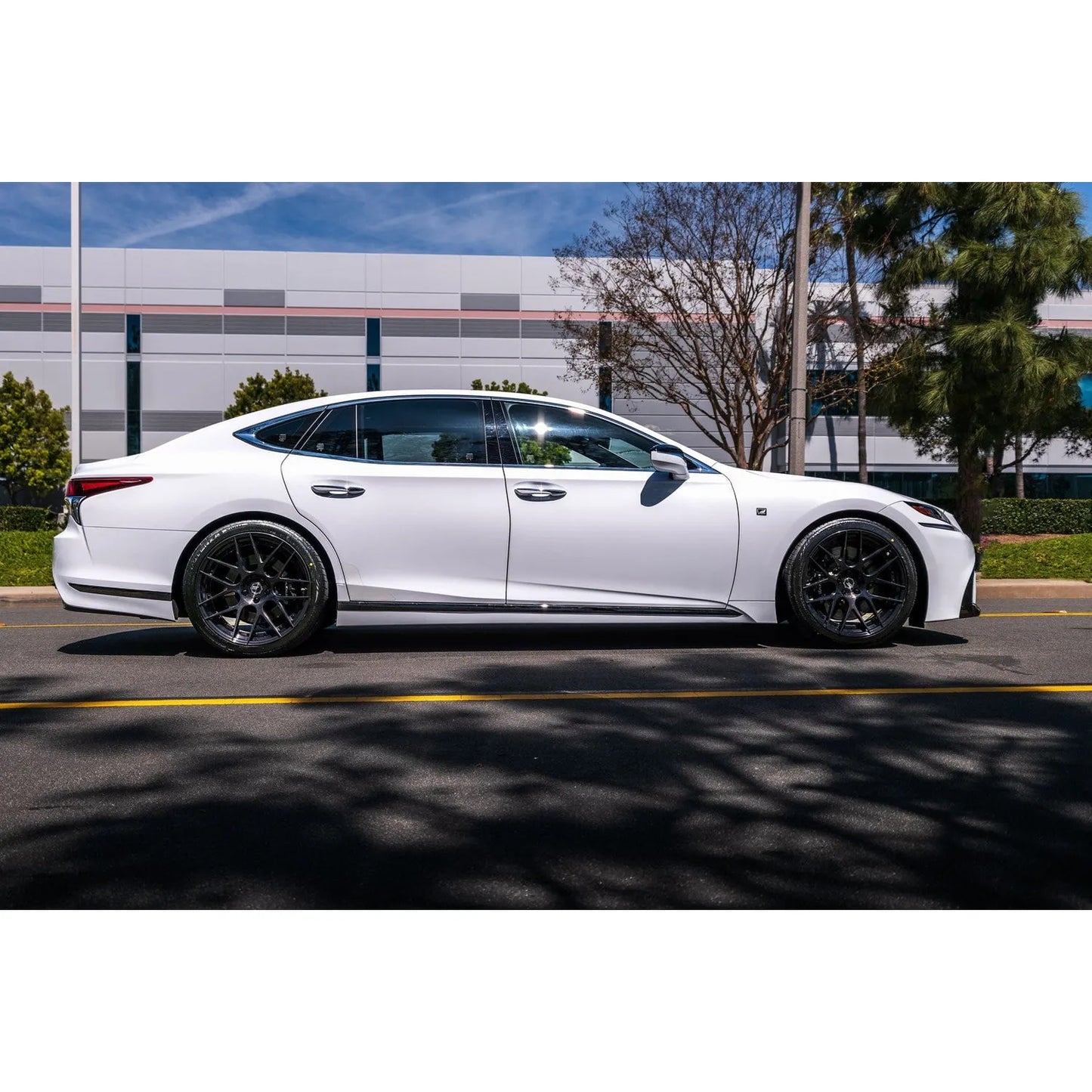 Swift Springs Sport Lowering Springs for 2018+ Lexus LS500 (XF50)