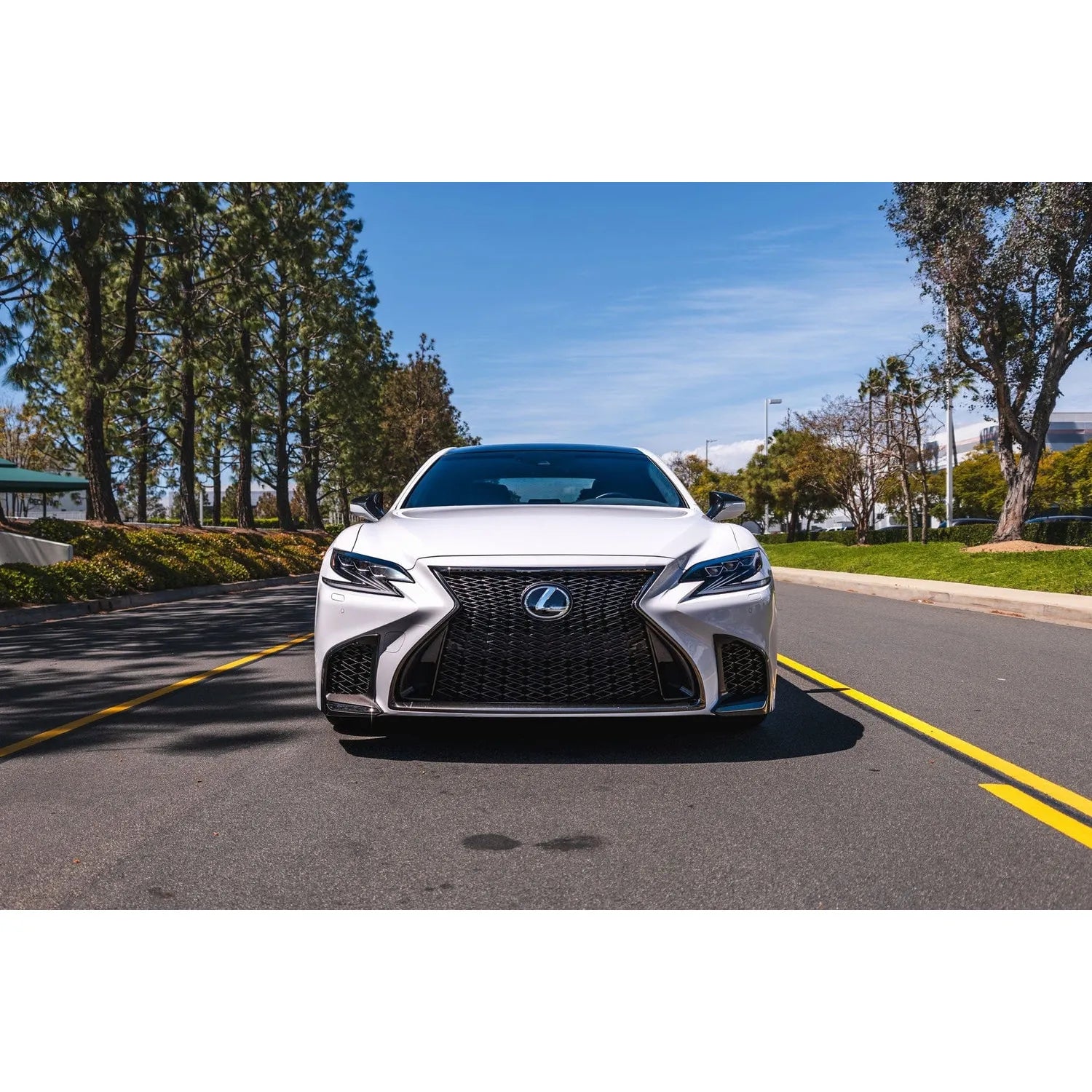 Swift Springs Sport Lowering Springs for 2018+ Lexus LS500 (XF50)