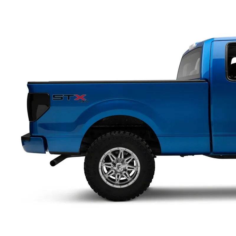 Raxiom 09-14 Ford F-150 Axial LED Tail Lights | F-150 (09-14) (T565678)