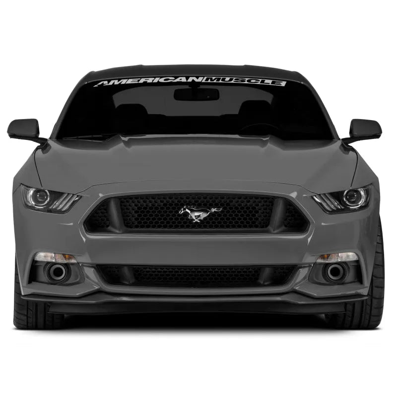 Raxiom LED F&R Halo Fog Lights | Ford Mustang (15-23) (398032)