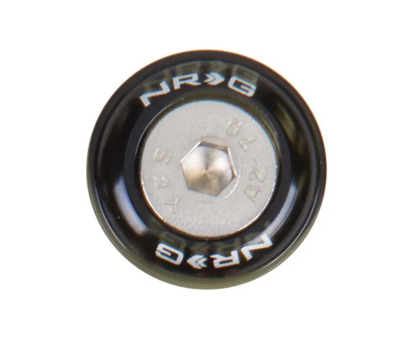 NRG Fender Washer Kit w/Rivets For Metal - Set of 10 (FW-110)