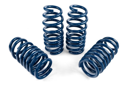 Dinan 20-26 BMW X5 M Competition Coil Spring Set | BMW X5 M / X6 M (20-26) (D100-0936)