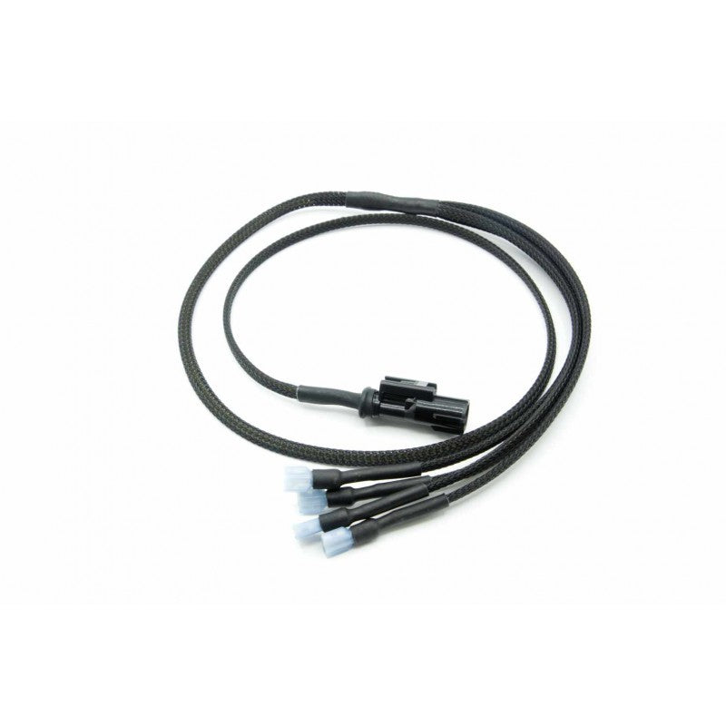 Turbo XS Hella Horn Wiring Harness | Subaru WRX (15-21) (WS15-HHWH)