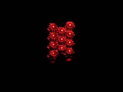 ANZO 2004-08 Ford F-150 LED Taillights Black Pair (311024)