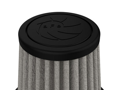 aFe Magnum FLOW OE Replacement Air Filter w/ Pro DRY S Media | Ford Escort (97-00) (11-10061)