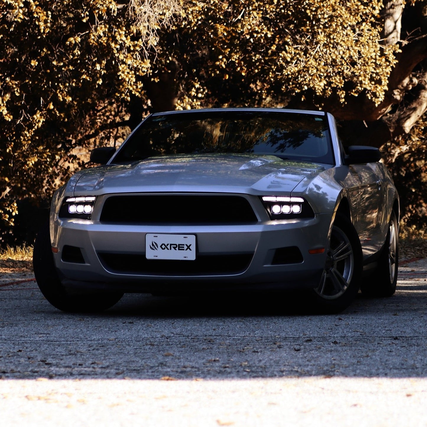 AlphaRex 13-14 Ford Mustang MK II NOVA-Series LED Projector Headlights Alpha-Black