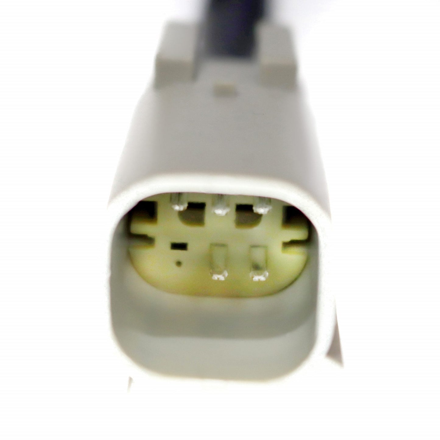 AlphaRex 18-20 Ford F150 Stock Halogen Tail Lights to AlphaRex PRO-Series Tail light Converters