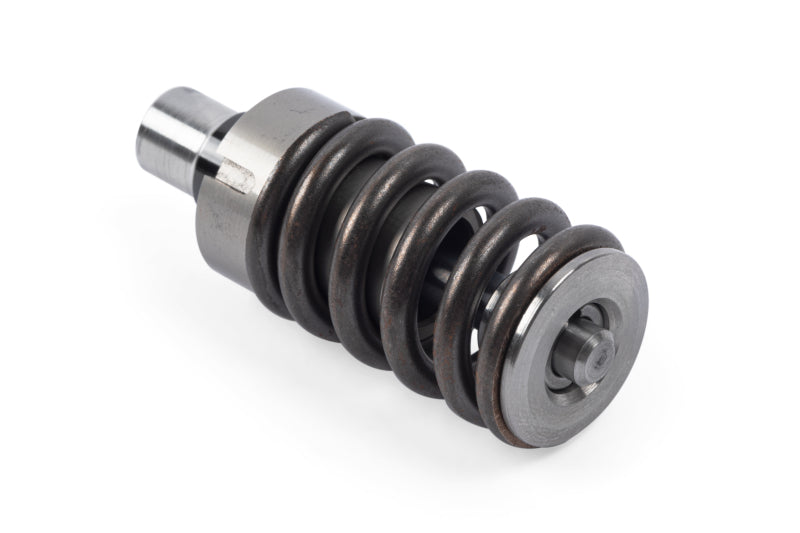 APR High Pressure Fuel Pump Rebuild | Porsche Panamera (17-23) (MS100211)