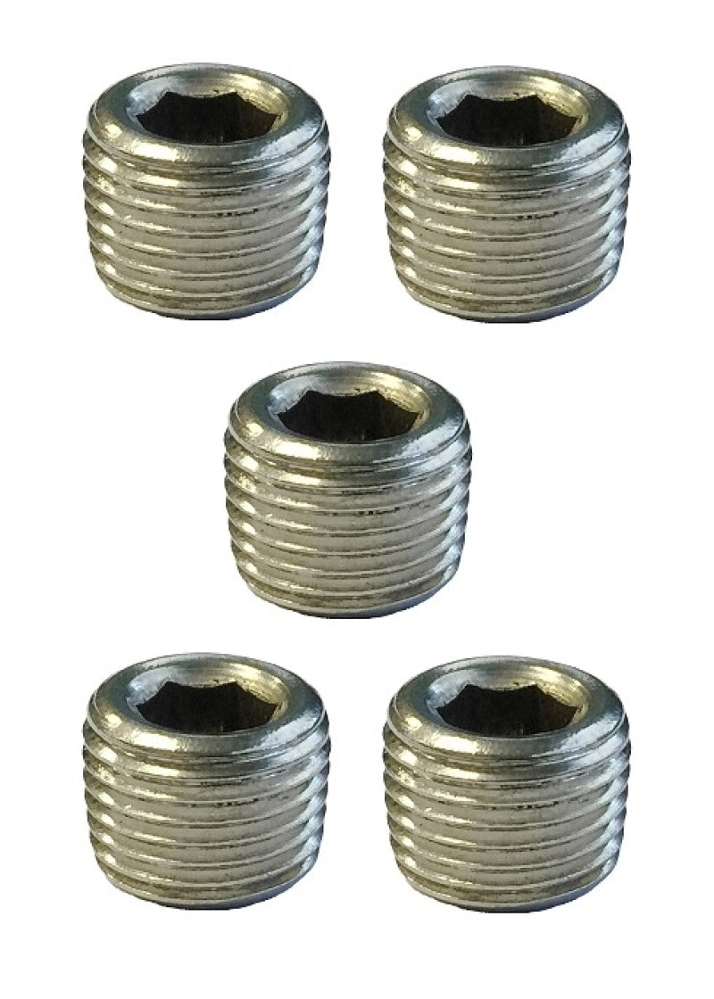 Torque Solution Stainless Steel 1/8" NPT Plug (TS-NPT-18.10)