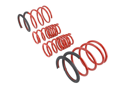 Skunk2 Racing Lowering Coil Spring Set 2.25in - 2.00in | Acura RSX (02-04) (519-05-1670)
