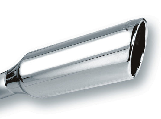 Borla 2.25in Inlet 4in D&S Tips | Universal (20245)
