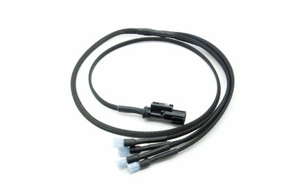 Turbo XS Hella Horn Wiring Harness | Subaru WRX (15-21) (WS15-HHWH)