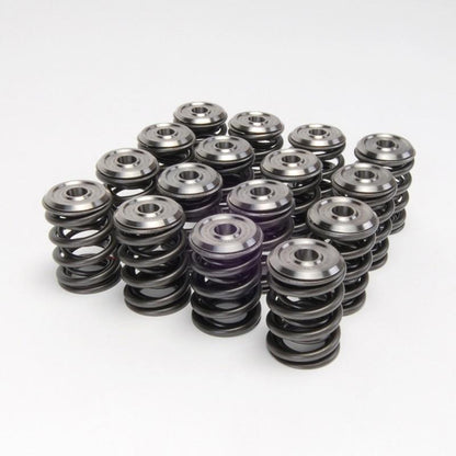 Skunk2 Alpha Series Honda D Series VTEC Valve Spring Set