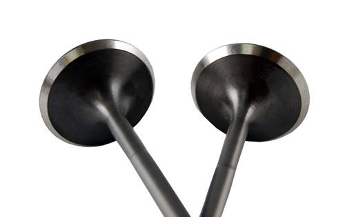 BLOX Racing F20/F22 Flat Intake Valve Set | 2000-2009 Honda S2000 (BXPT-20204)