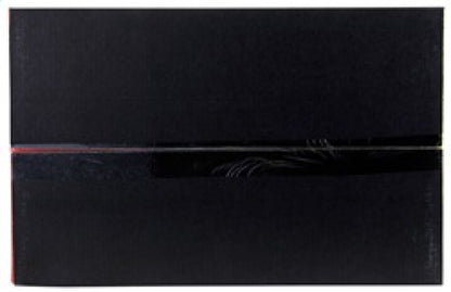 AEM Cold Air Intake System | Volkswagen Jetta 2.0L L4 (11-14) (21-763C)