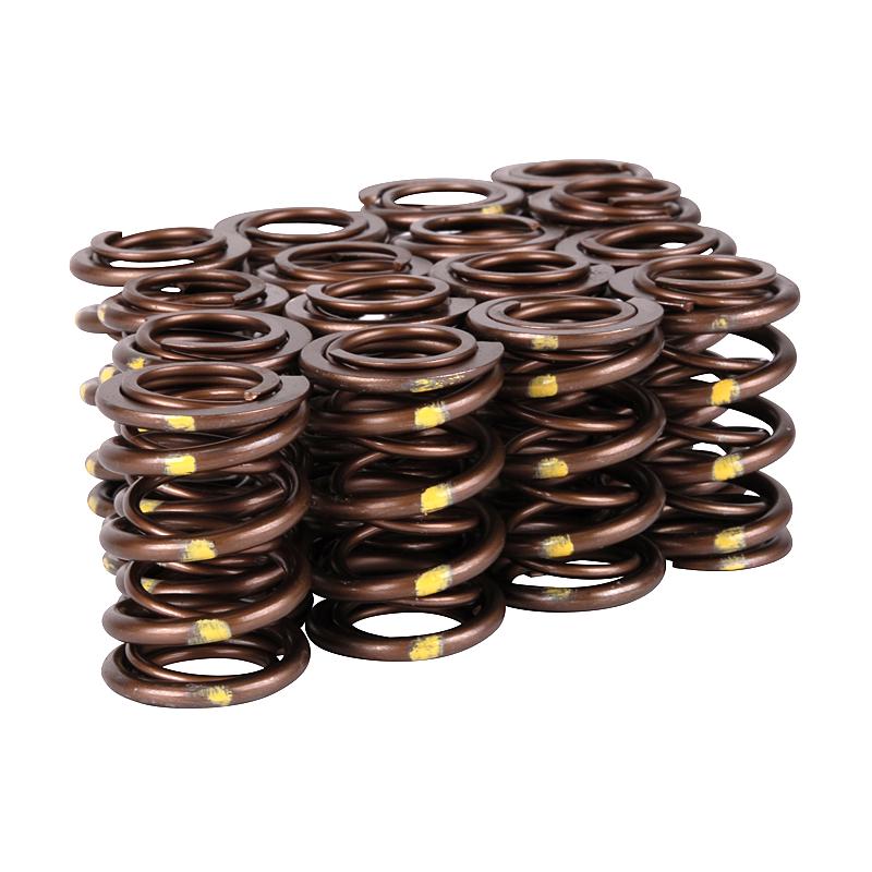 Skunk2 Pro Series Honda/Acura B-Series VTEC XP Valve Spring Set (Dual Springs)