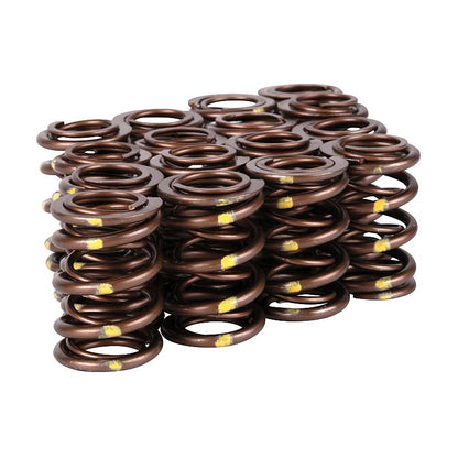 Skunk2 Pro Series Honda/Acura B-Series VTEC XP Valve Spring Set (Dual Springs)