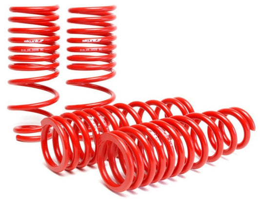 Skunk2 Lowering Springs | 1996-2000 Honda Civic (519-05-1550)