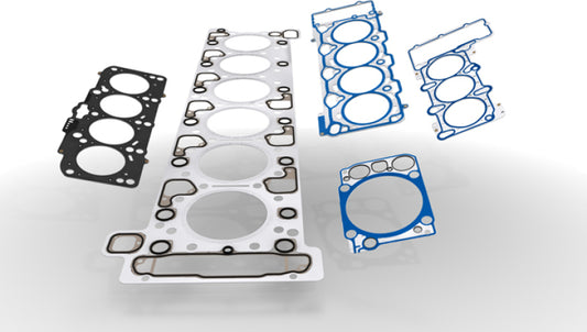 Victor Reinz Cylinder Head Gasket | BMW M3 (94-99/81-88/92-99/95-03)