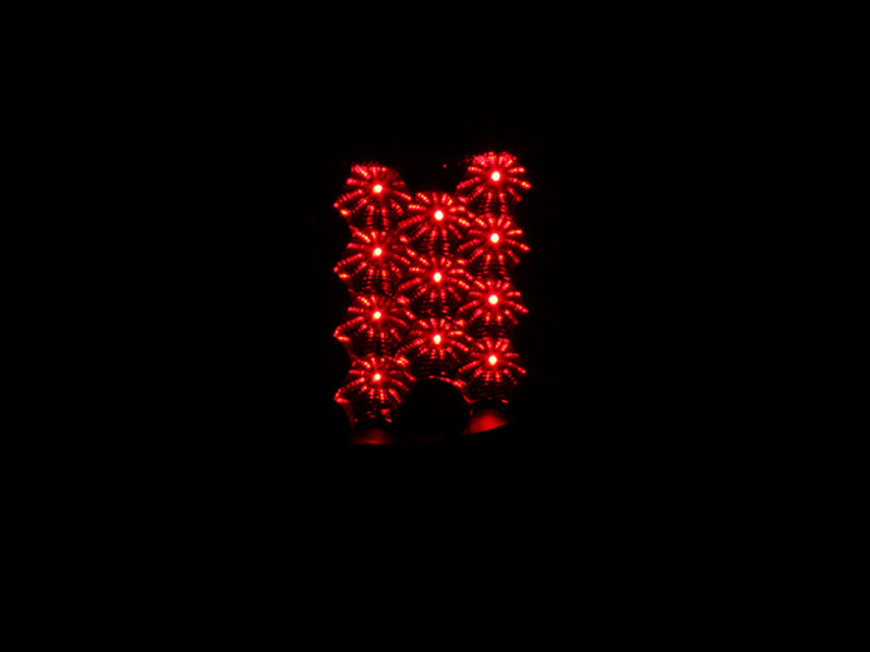 ANZO 2004-08 Ford F-150 LED Taillights Black Pair (311024)