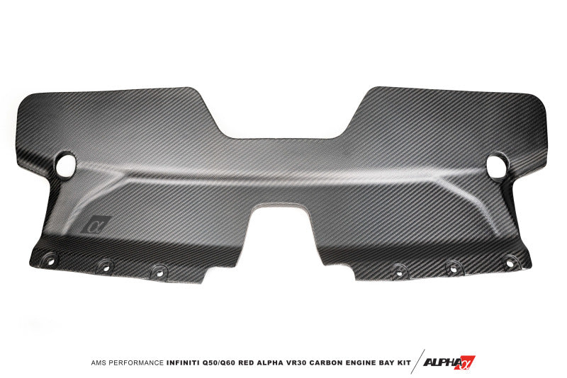 AMS Alpha Matte Carbon Front Duct | Infiniti Q60 / Q50 (17+ / 16+) (ALP.28.06.0002-1)