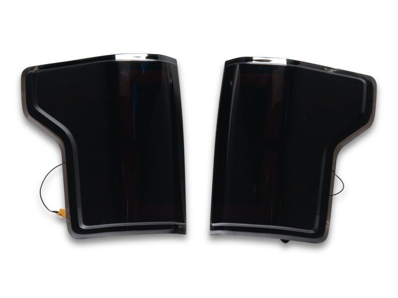 Raxiom 15-20 Ford F-150 LDS LED Tail Lights Black Housing Clear Lens (T625923)