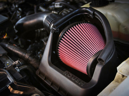 Roush 2011-2014 Ford F-150 5.0L Cold Air Kit