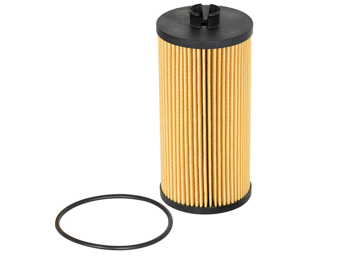 aFe Pro GUARD D2 Oil Filter (4 Pack) | Ford Diesel Trucks V8-6.4L (03-10) (44-LF003-MB)