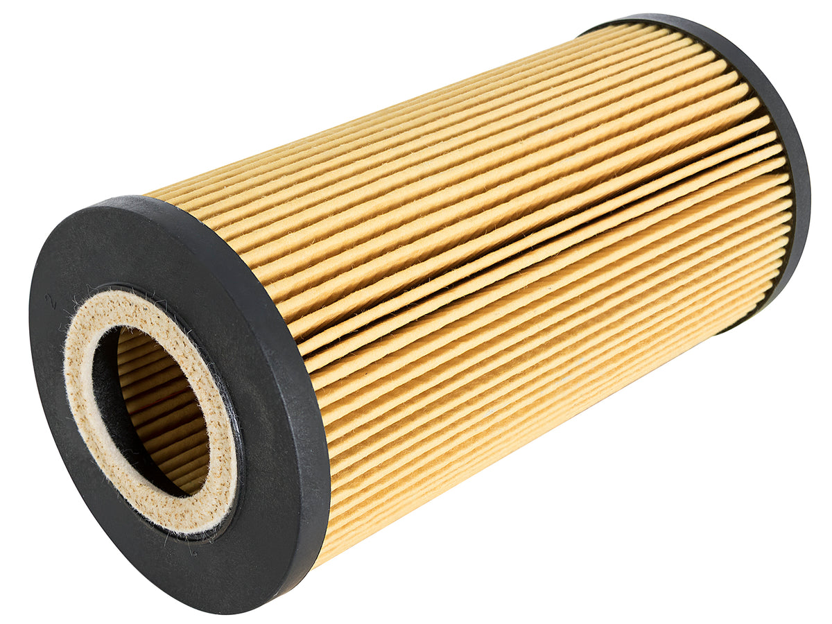 aFe Pro GUARD D2 Oil Filter (4 Pack) | Ford Diesel Trucks V8-6.4L (03-10) (44-LF003-MB)