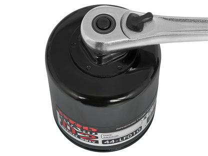aFe Pro GUARD D2 Oil Filter (4 Pack) | GM Gas Trucks V6 4.3L (00-14) (44-LF010-MB)