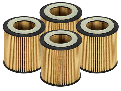aFe Pro GUARD D2 Oil Filter 4 Pack | BMW Gas Cars L6-3.0T N54/55 (06-19) (44-LF029-MB)