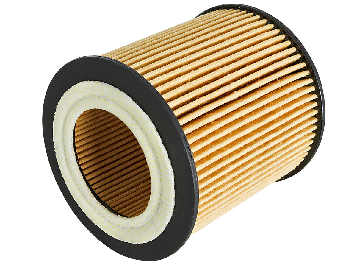aFe Pro GUARD D2 Oil Filter 4 Pack | BMW Gas Cars L6-3.0T N54/55 (06-19) (44-LF029-MB)