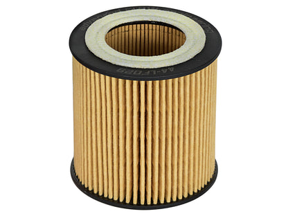 aFe Pro GUARD D2 Oil Filter | BMW Gas Cars L6-3.0T N54/55 (06-19) (44-LF029)
