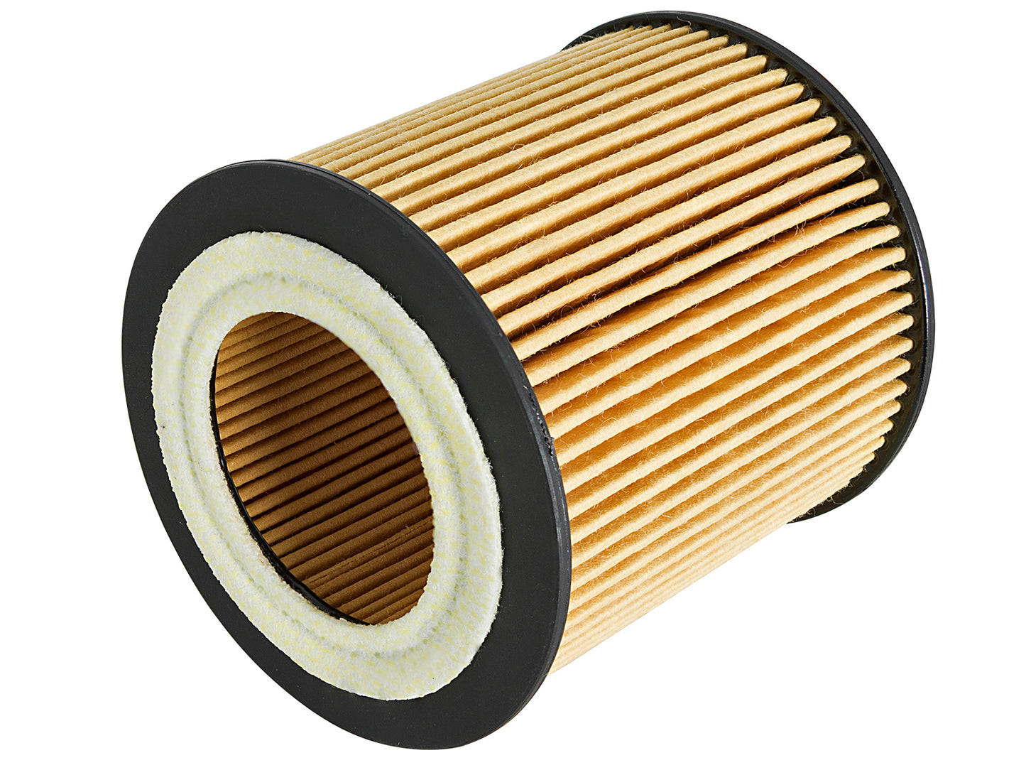 aFe Pro GUARD D2 Oil Filter | BMW Gas Cars L6-3.0T N54/55 (06-19) (44-LF029)