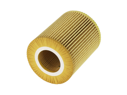aFe Pro GUARD HD Oil Filter | Ford F-150 3.0L (18-21) (44-LF046)