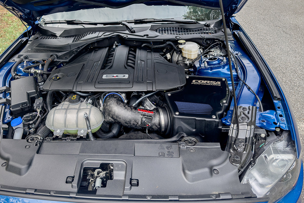 CORSA Black, Forged Carbon Fiber / Plastic Closed Box Air Intake | 2018-2023 Ford Mustang GT 5.0L V8 (44007, 419850)