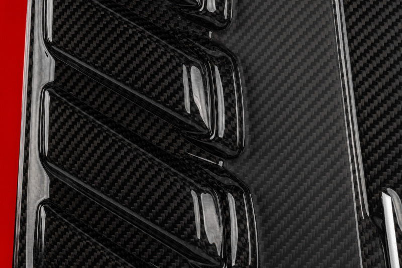 APR Carbon Fiber Engine Cover | Porsche Cayenne (19-26) (MS100256)